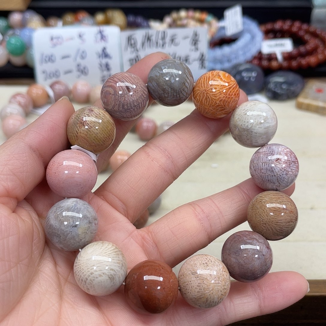 未镶嵌手串硅化珊瑚（珊瑚玉）凌019