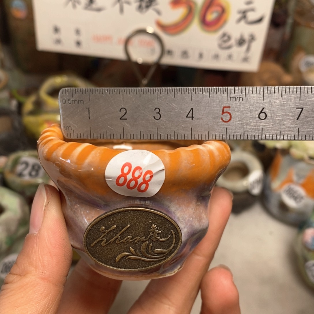 花盆拍5送一个小礼物