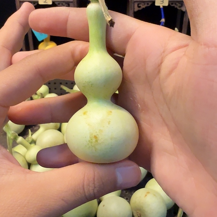 *****哈哈哈哈哈哈哈哈