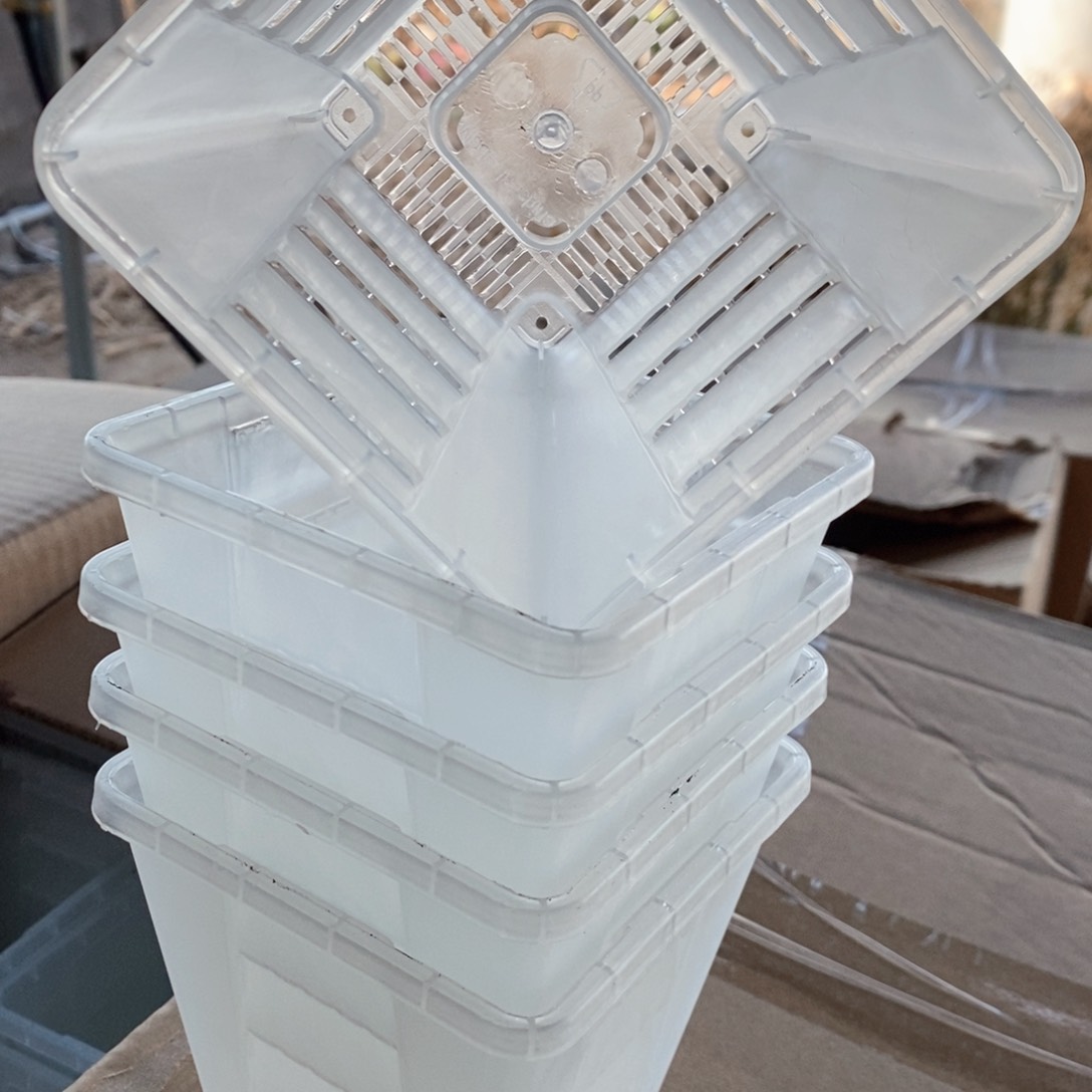 5个10.5口透明的无托伊特