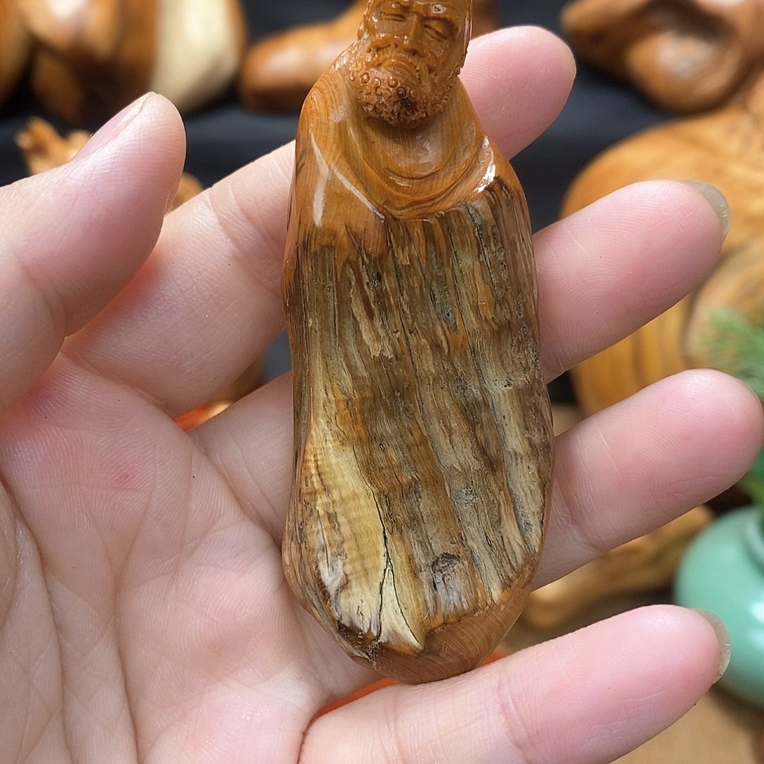 柏木（崖柏）一物一图