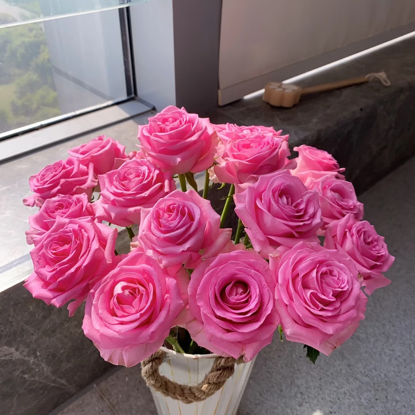 玫瑰【苏1醒10枝】三扎包邮 低温地区拍保温棉否则冻坏不售后
