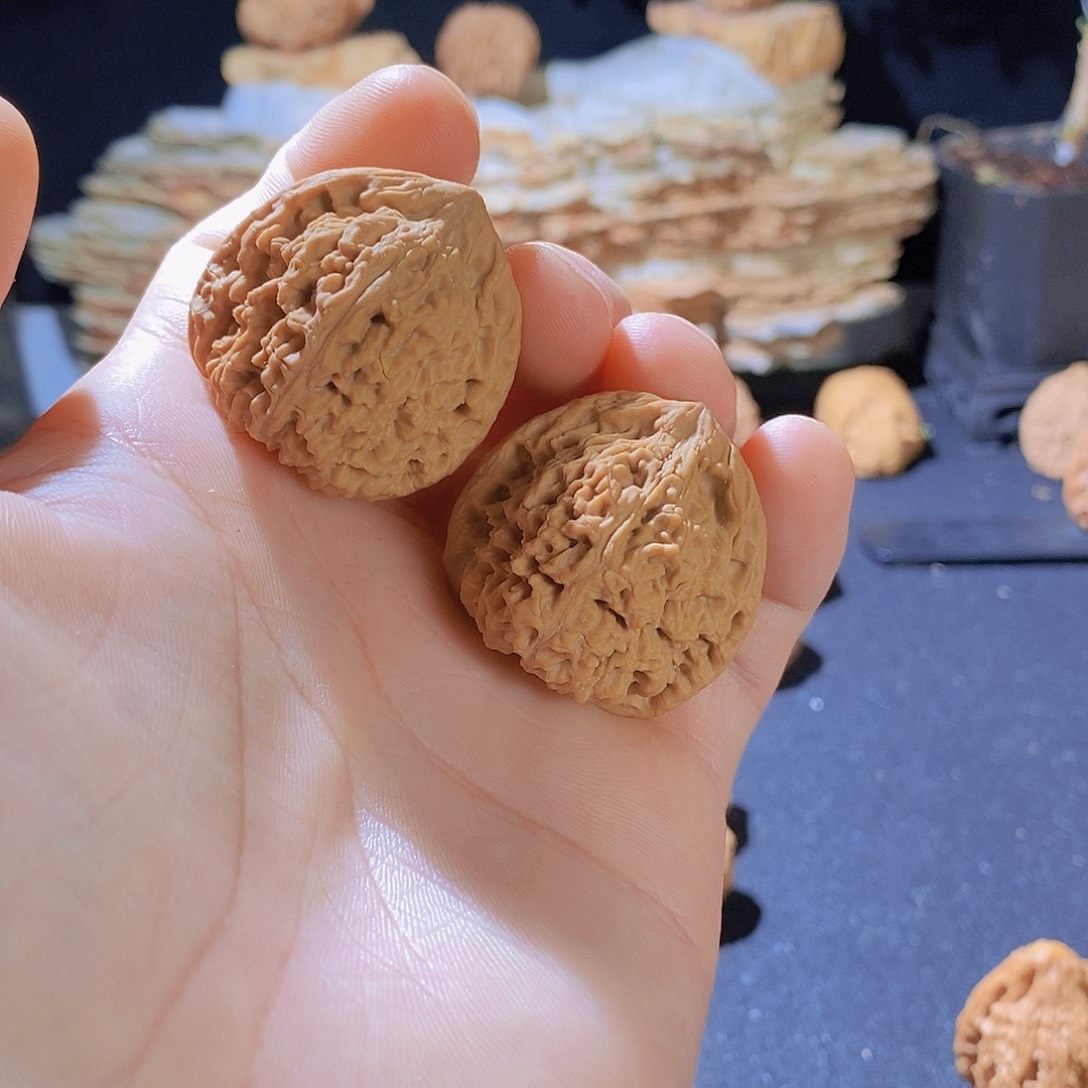 核桃其他a***呀34全品南疆三角