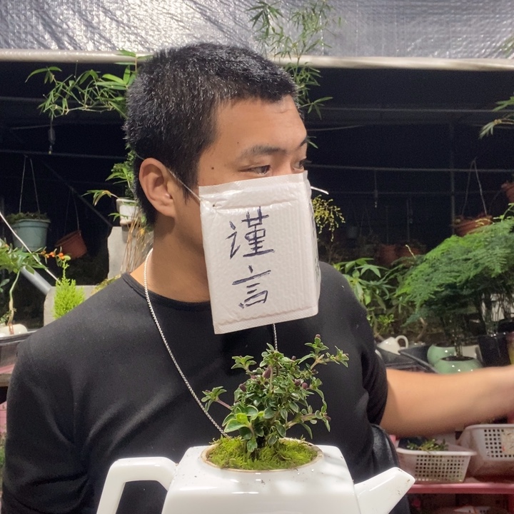 辉***姐以实际为准盆景绿植盆栽134