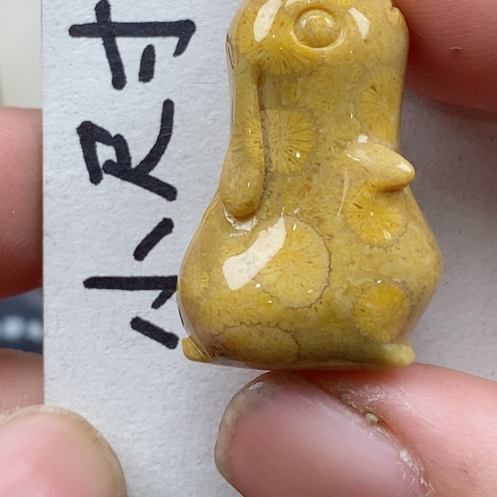 颈饰未镶嵌硅化珊瑚（珊瑚玉）