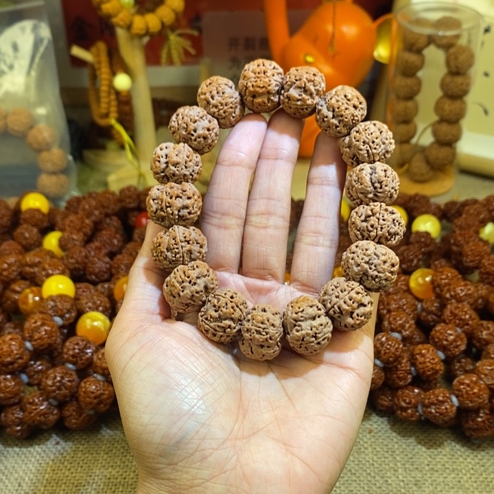 金刚菩提吊坠205原籽