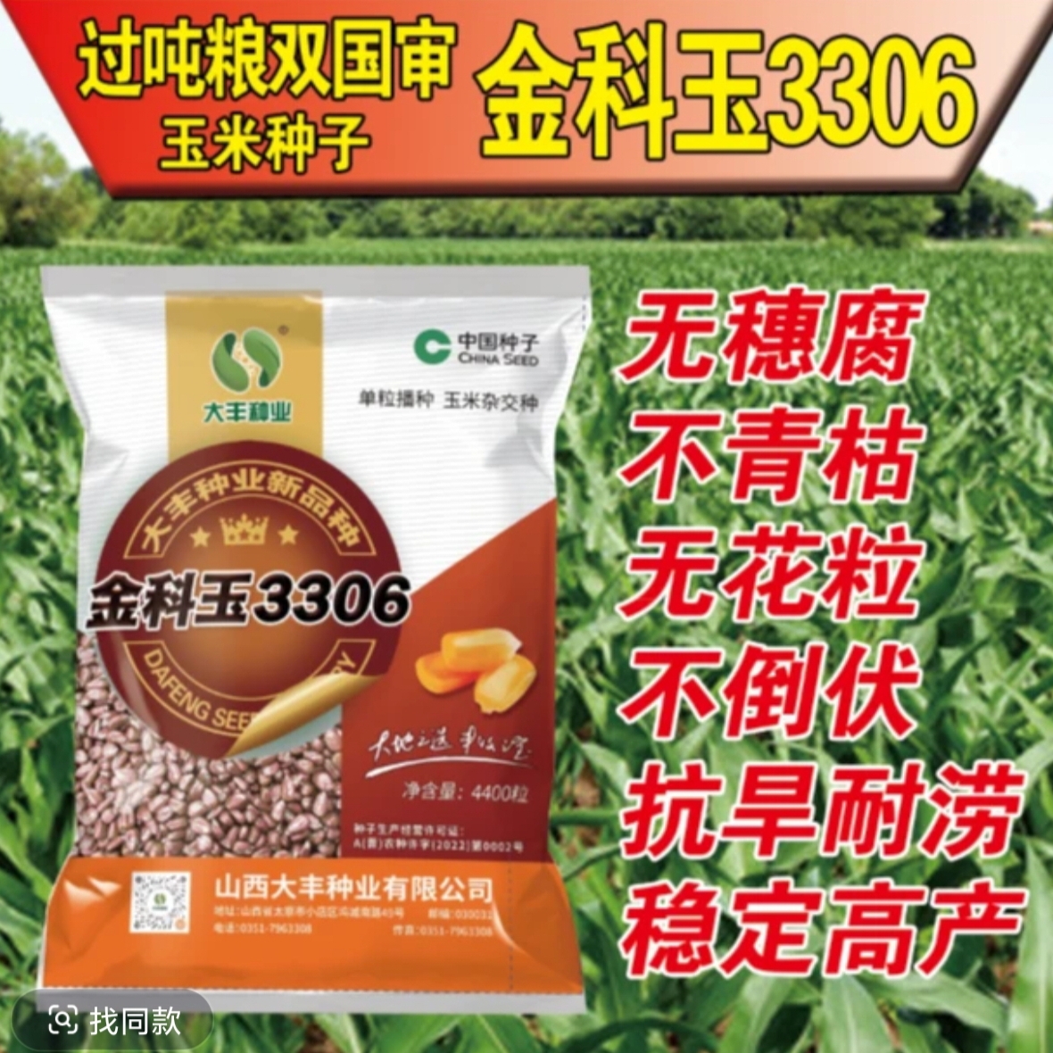 双国审超高产玉米种子金科玉3306