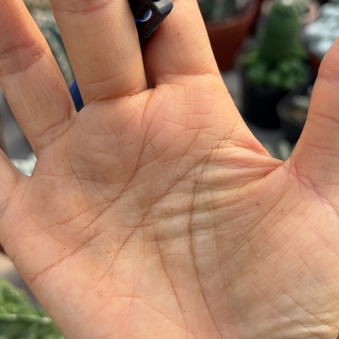 （***） 零零落落 零零落落