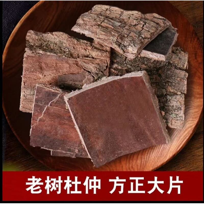 杜仲秦岭深山野杜仲 老树大片