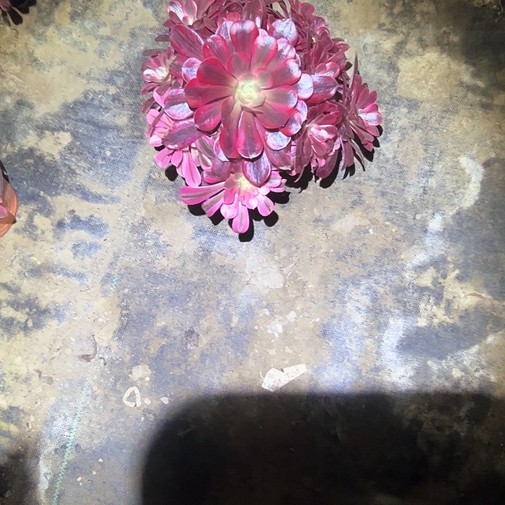 法师链接一物一拍24