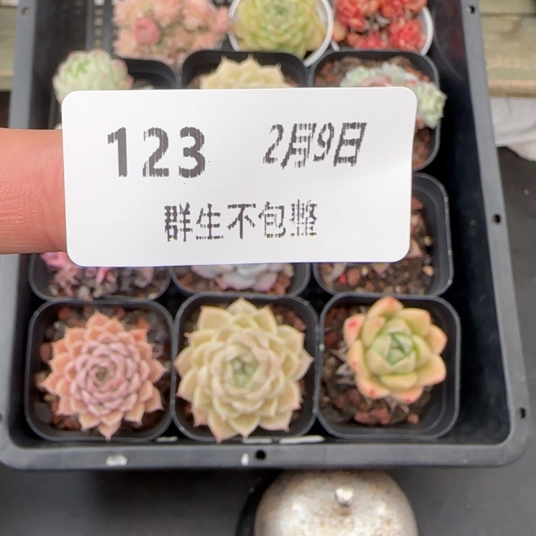 框拍框拍0209-123