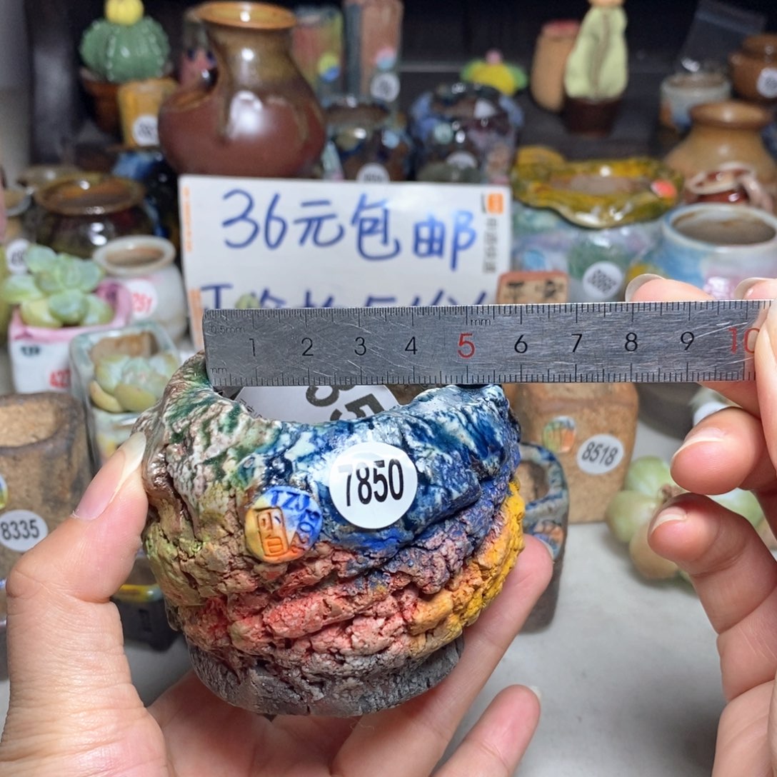 拍2送一个小礼物