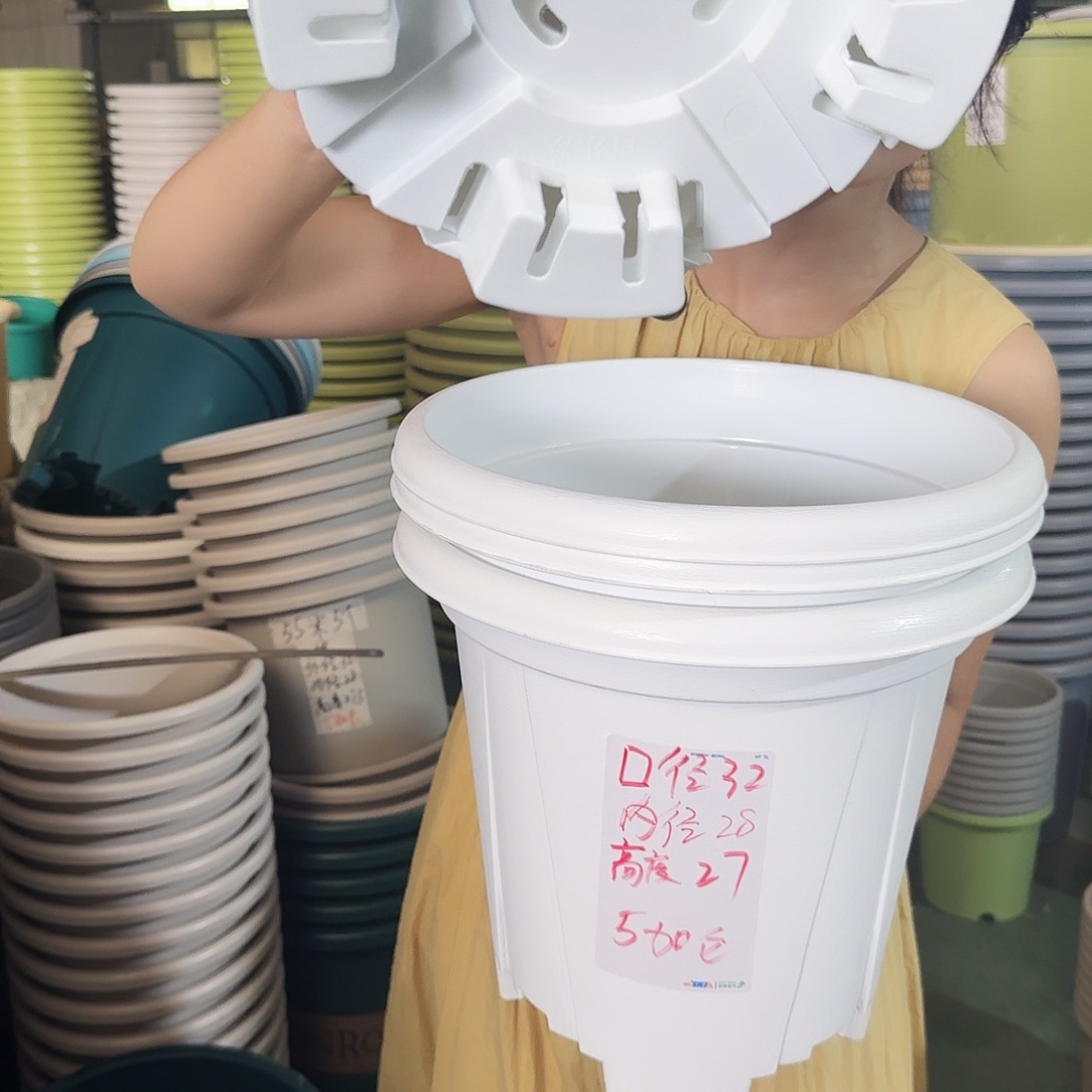 青山5#无拖纯白5个