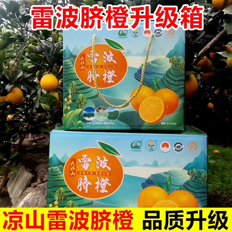 【同城小时达]】凉山直发雷波脐橙礼盒装5000g