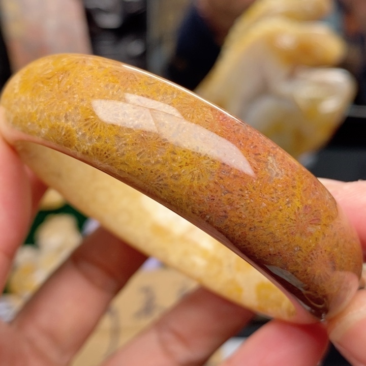 硅化珊瑚（珊瑚玉）手镯未镶嵌55