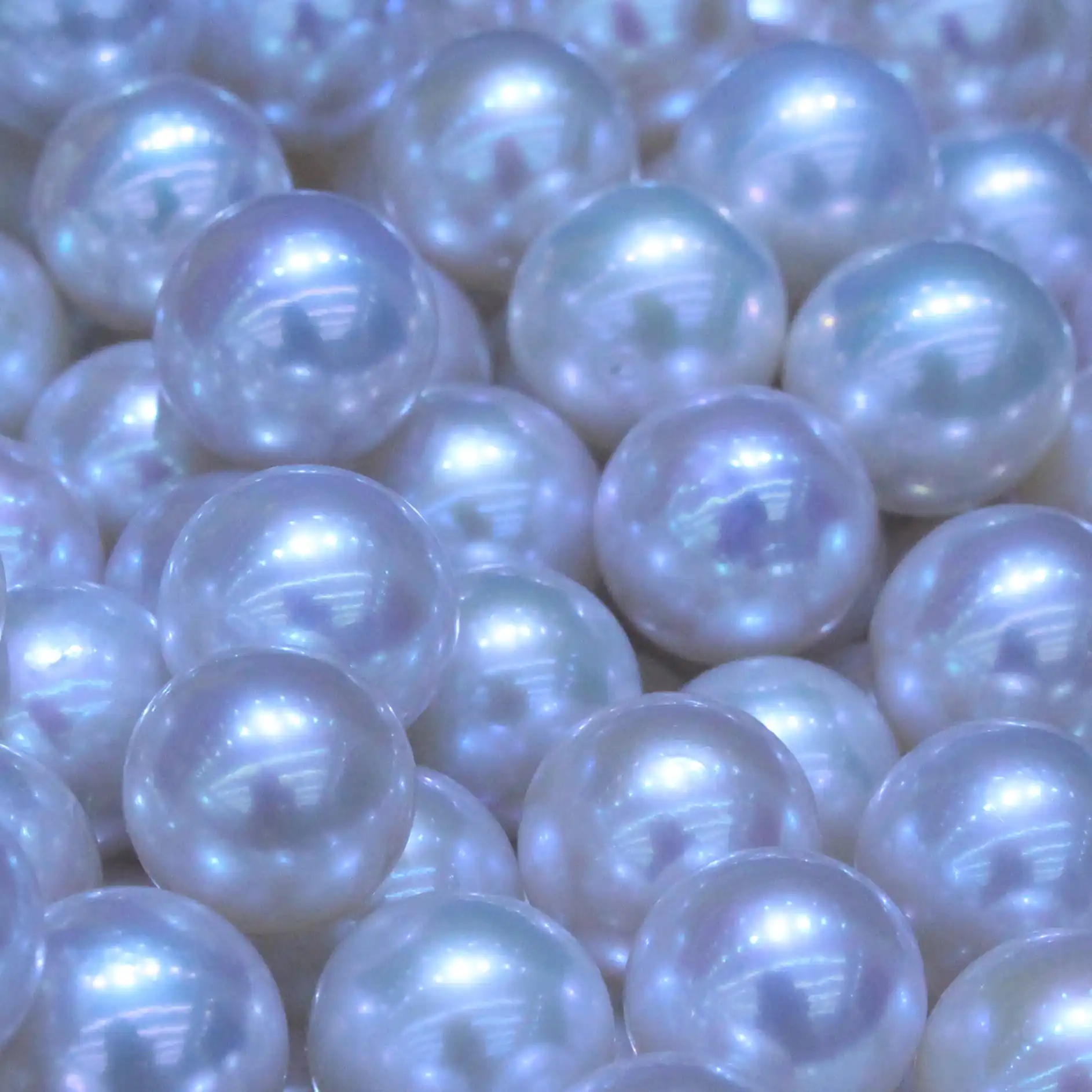 sp星辰天然珍珠项链手链专拍定制链接