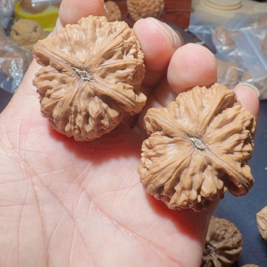 文玩核桃把件水龙纹43