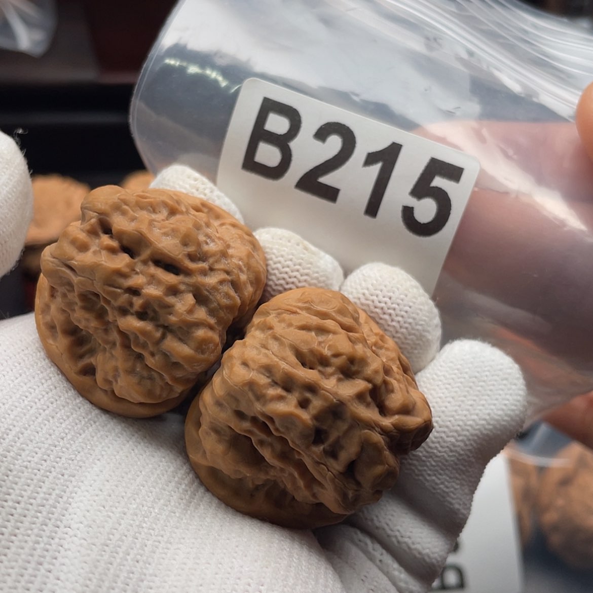 【闪购商品】文玩核桃吊坠虎**仁B215蛤蟆36/38