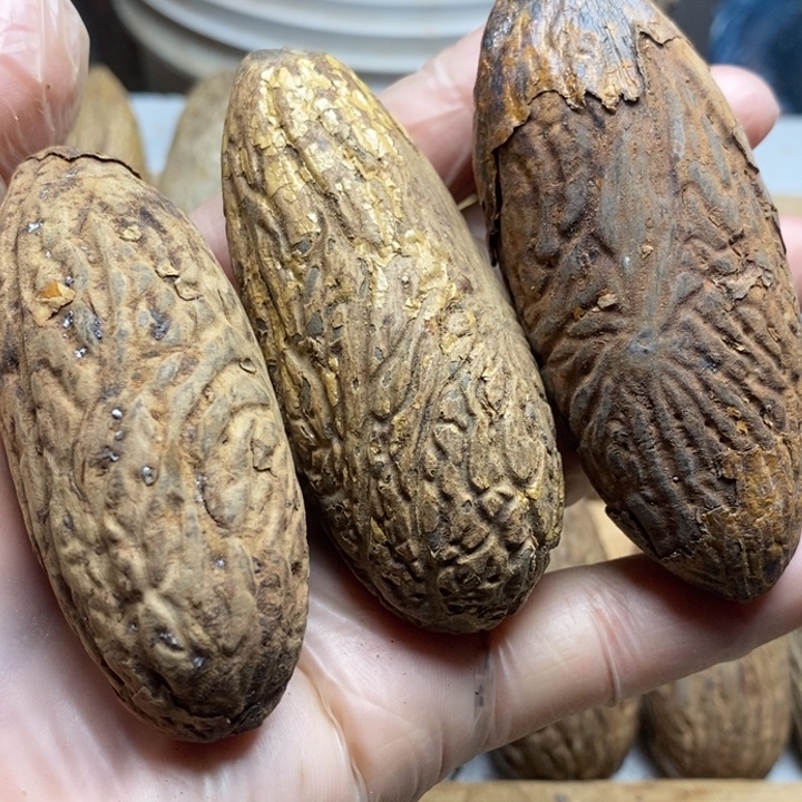 心***想吊坠千眼菩提菩提