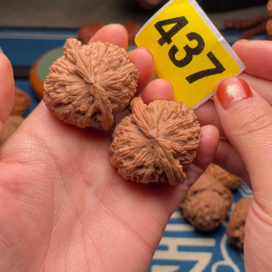 E***y把件文玩核桃41全品球白（精品）437号