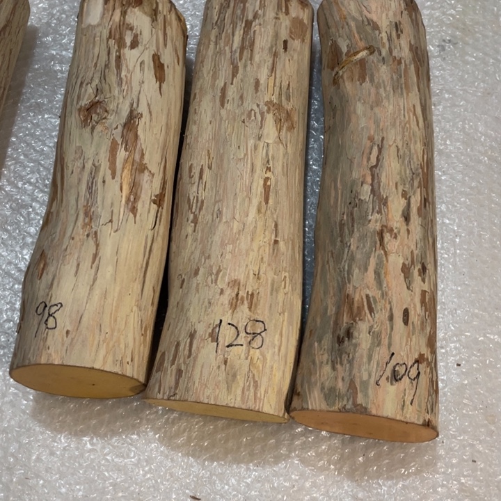 阳***艺湖北高山小叶黄杨