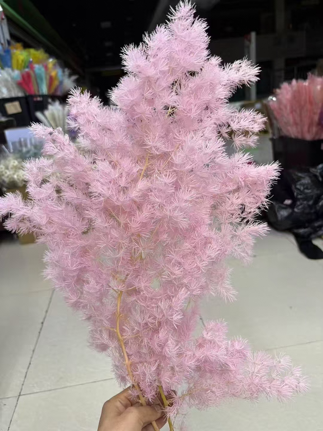 【买一送一】粉色蓬莱松永生花一把   家庭日常装饰   摆件