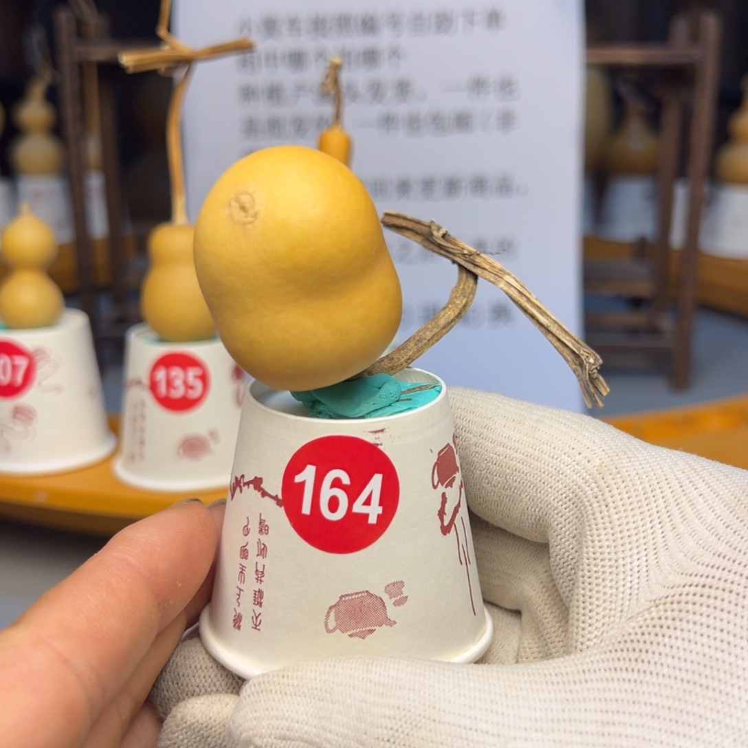 闪电购自助下单编号164