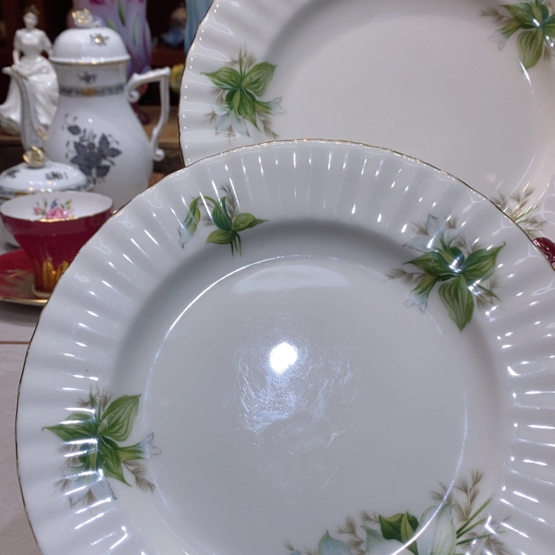 瓷片美呀呀呀呀呀呀呀