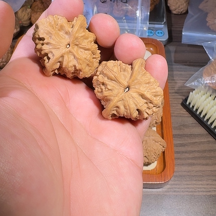 文玩核桃吊坠野狼