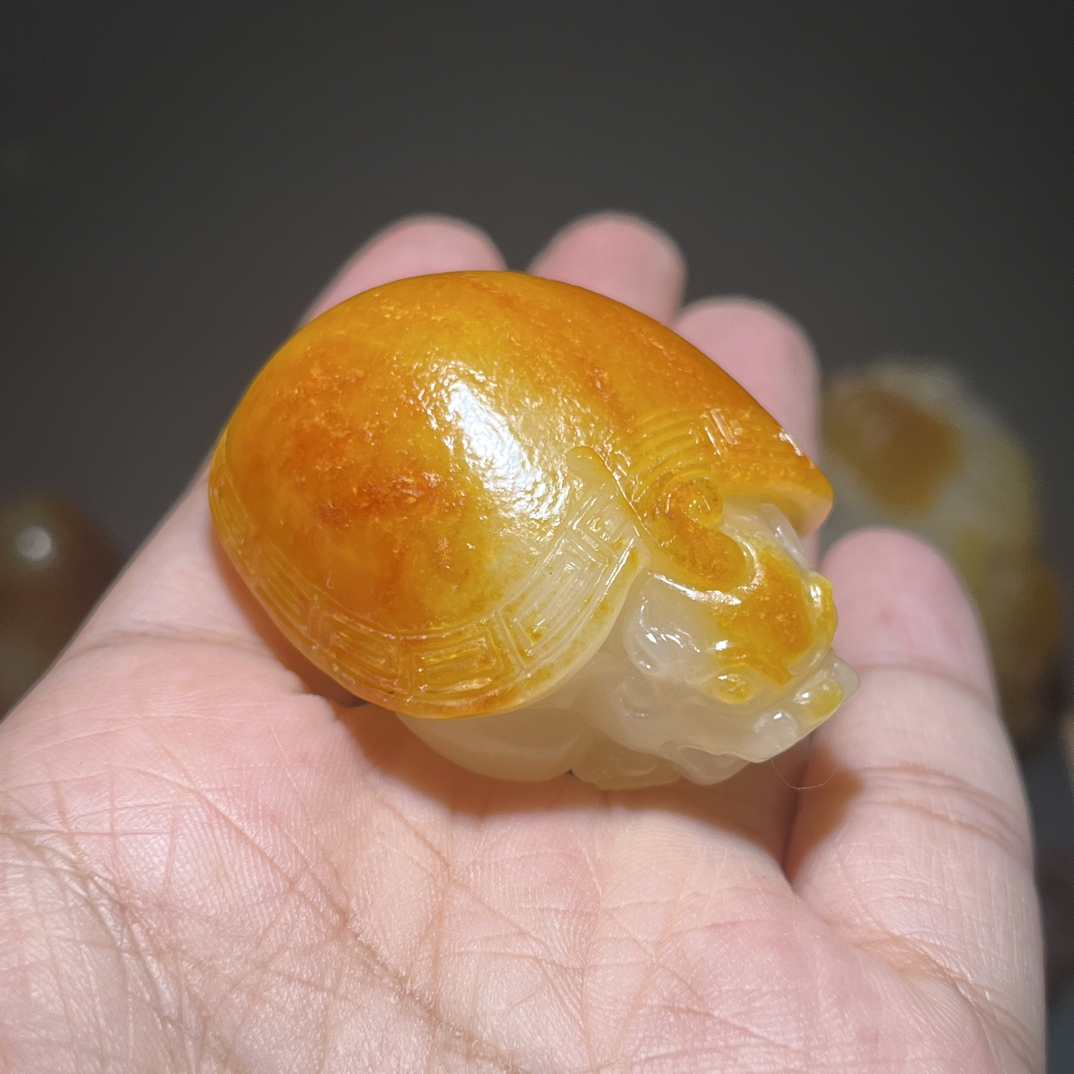 新疆和田玉 龙龟