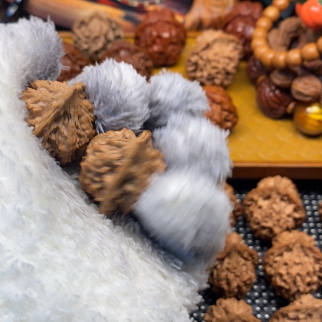 成***秦岭森林中发现过几