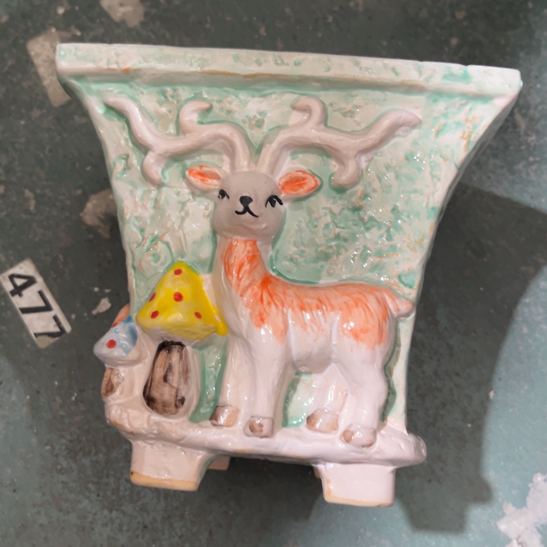 花盆，拍满20发货，退款拉黑