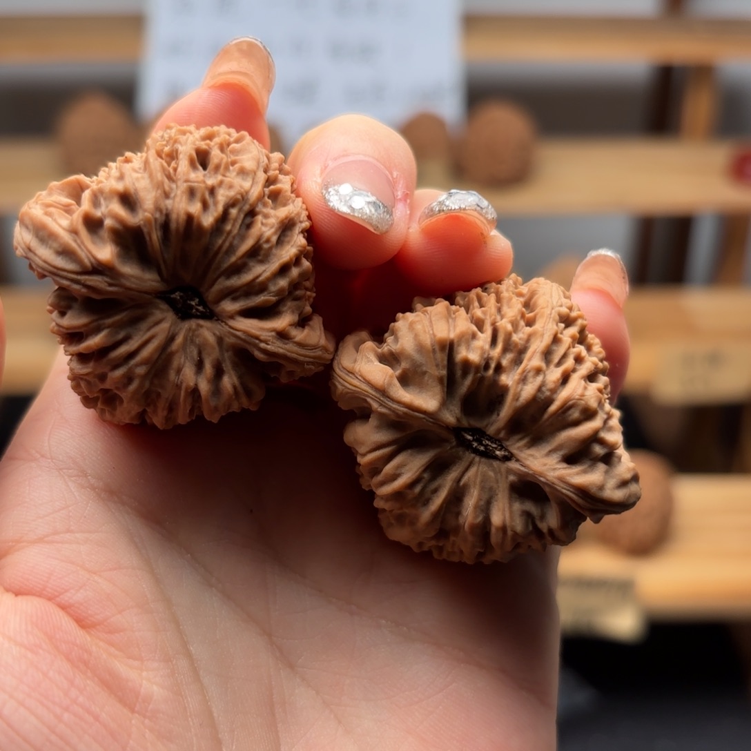 牛***辣核桃涿鹿一代南疆41