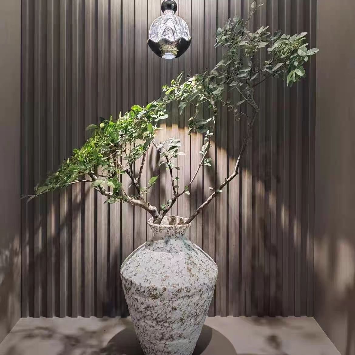 一物一拍水培小叶女贞毛叶丁香高端水培鲜切枝居家桌面摆件绿植