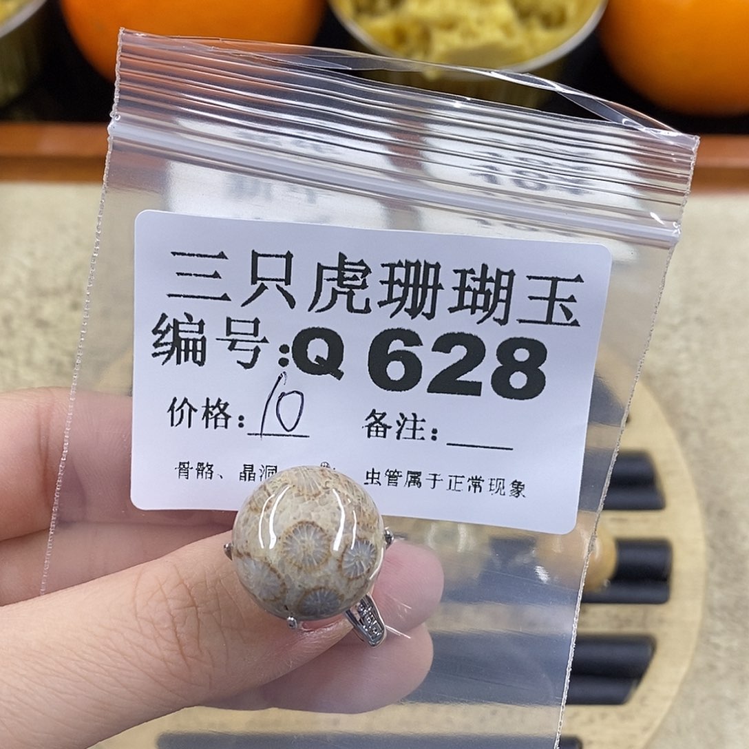 硅化珊瑚（珊瑚玉）1未镶嵌?****