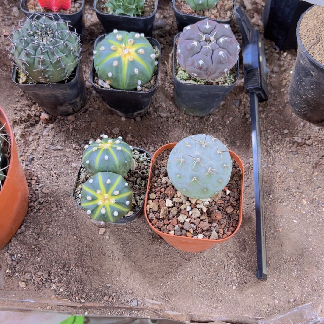 M***033333333333333333