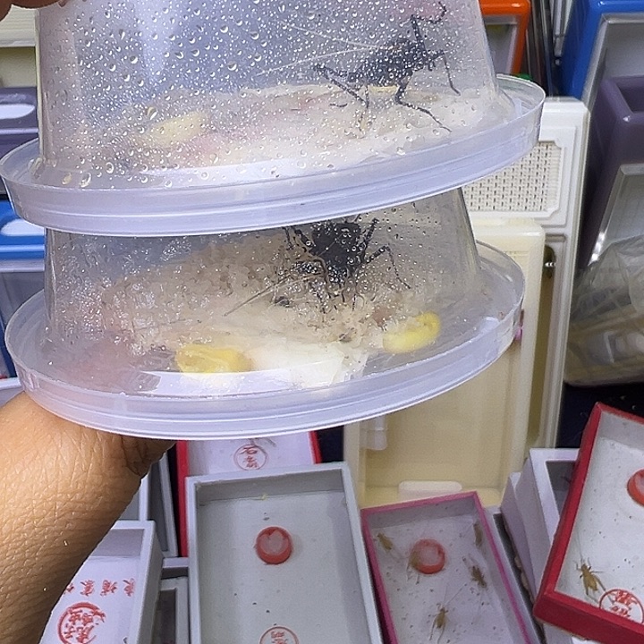 用***8哈哈哈哈哈哈哈哈哈哈哈