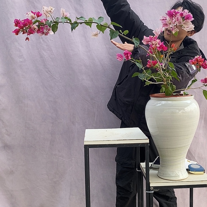 大量花朵（建议范围：8朵-15朵 或40%以上）娆