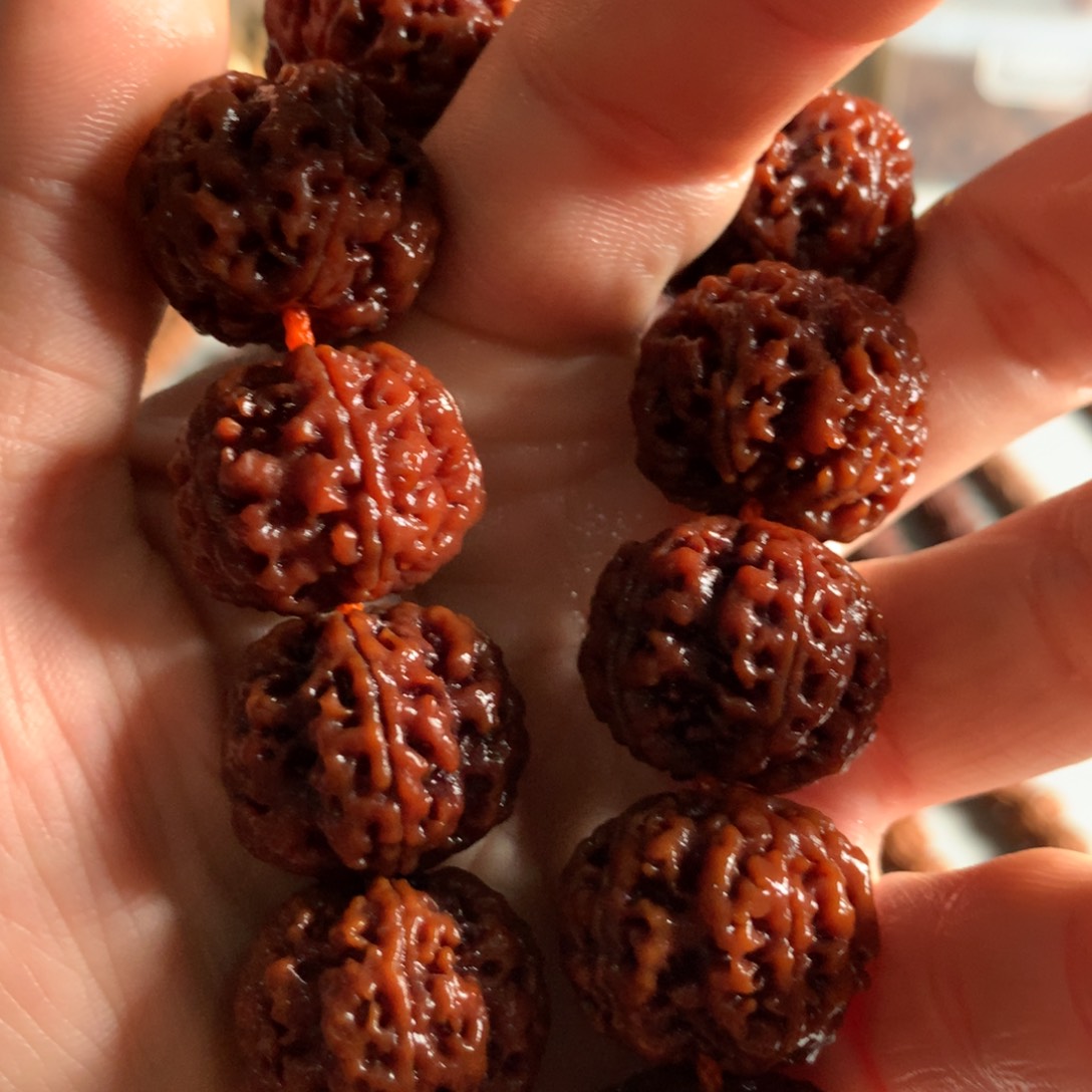 金刚菩提手串䚱梅花大金刚