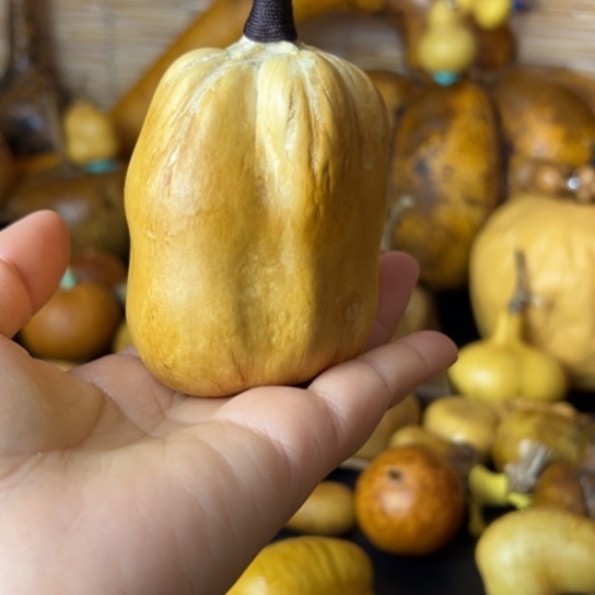 惊*花头厚皮稳坐一把握