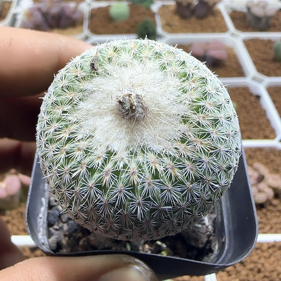 哈哈哈哈哈哈哈55483