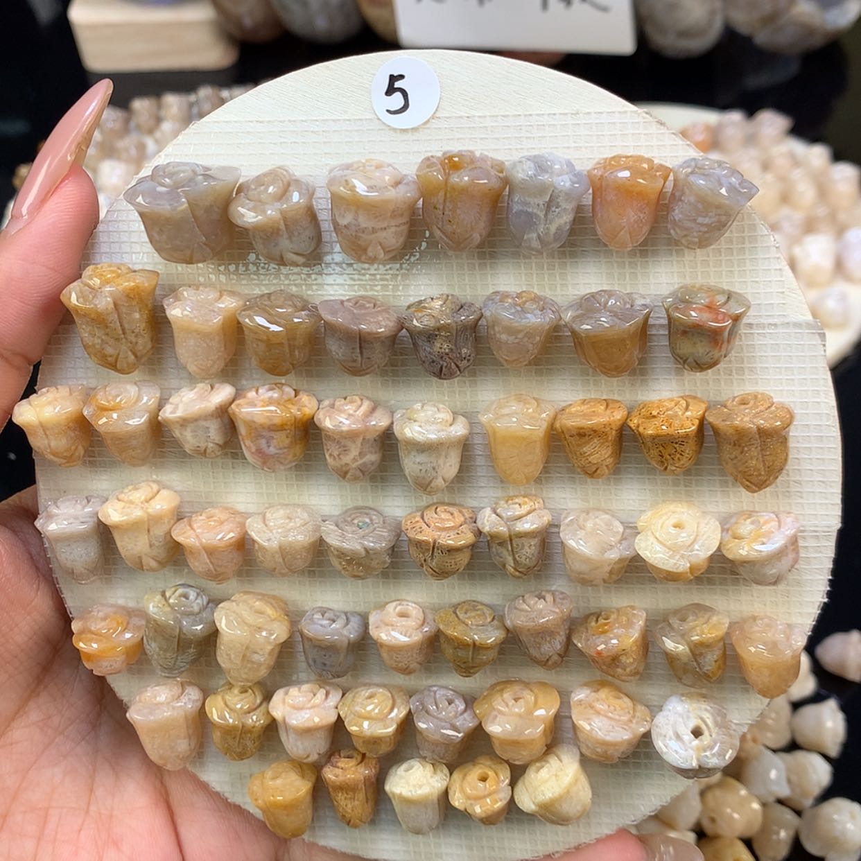【闪购商品】颈饰未镶嵌硅化珊瑚（珊瑚玉）5号 5/颗 可挑