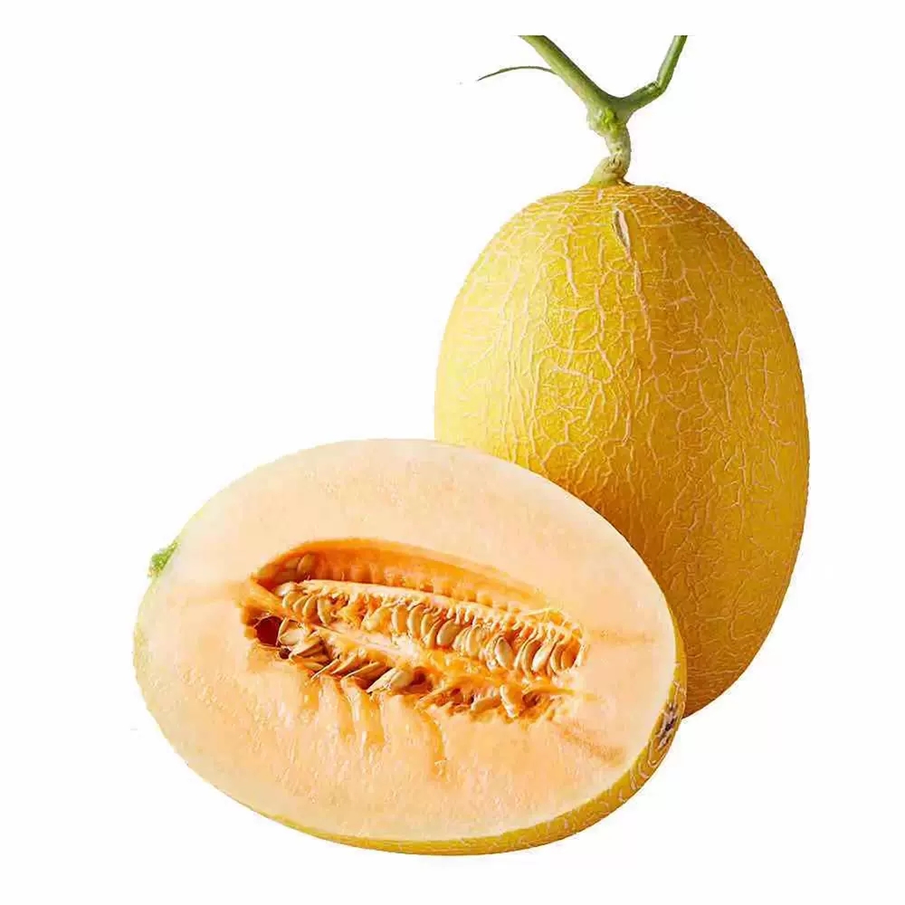 新疆金色年华蜜瓜1个装1.7kg