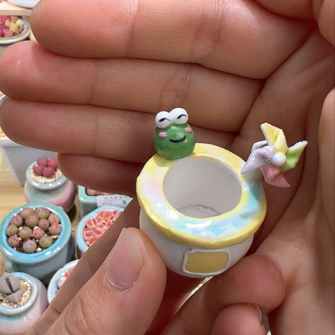 莫*窟多肉植物20号拇指盆