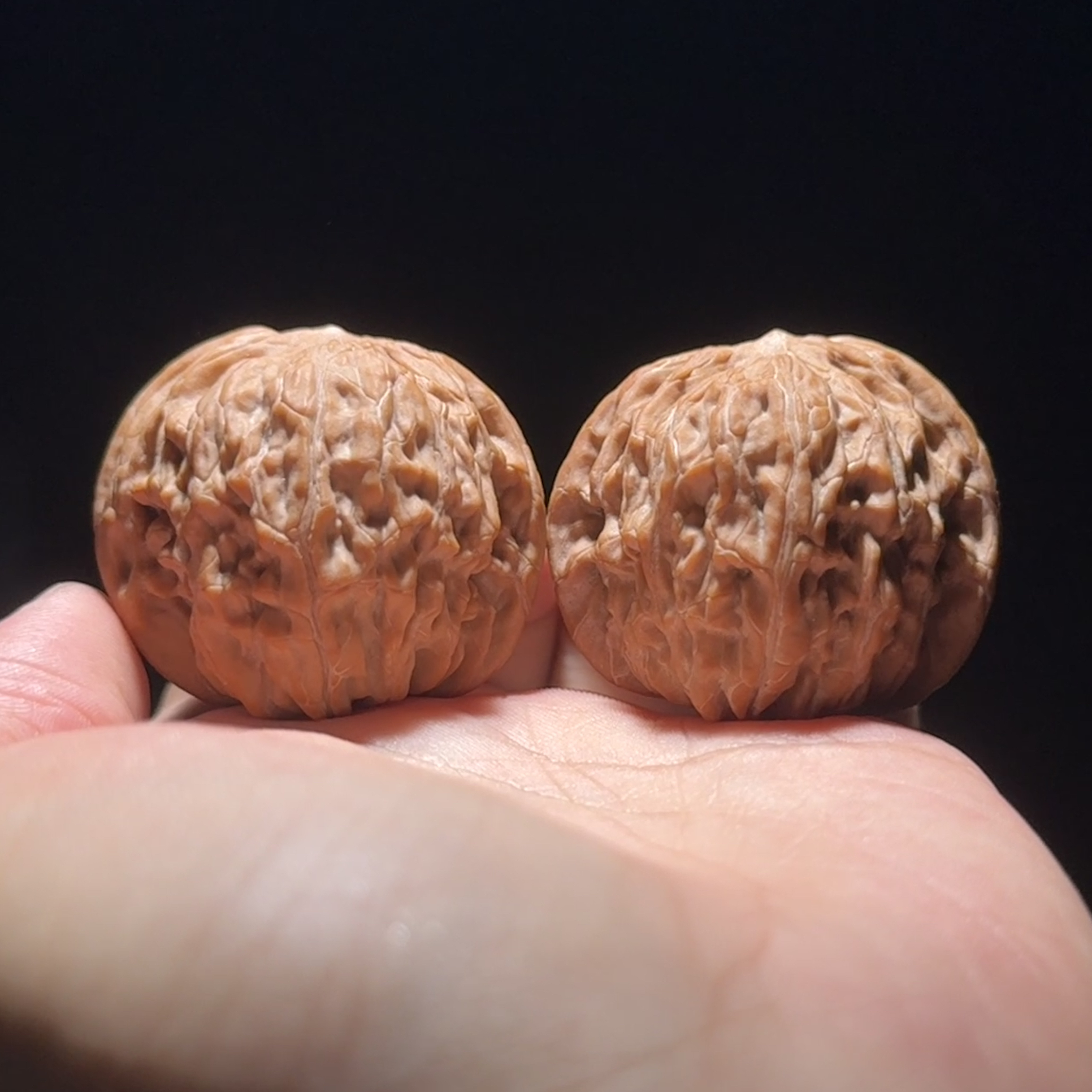 【毕业•球磨】磨盘5号边40肚39高33.5