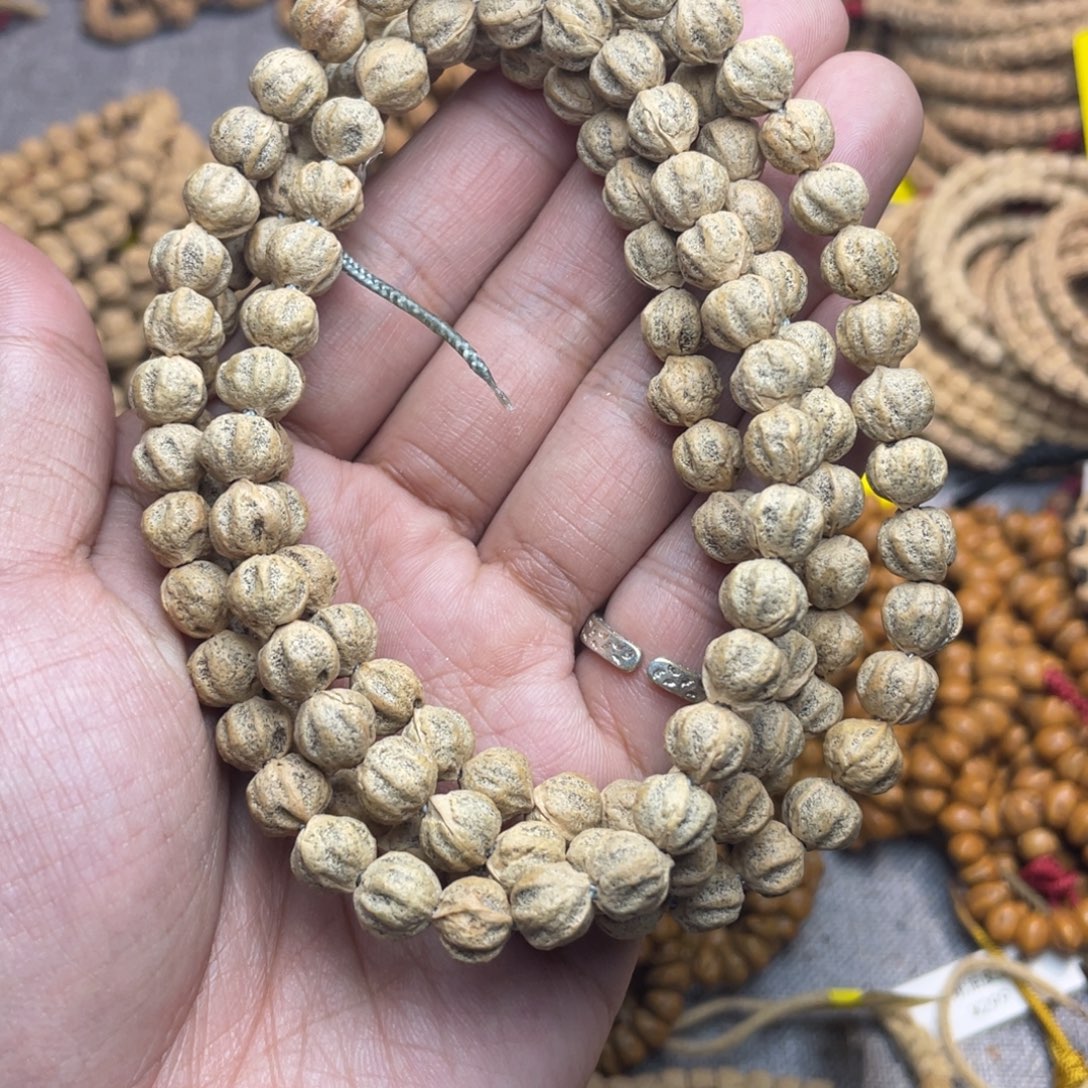 吊坠柏香籽/百香籽