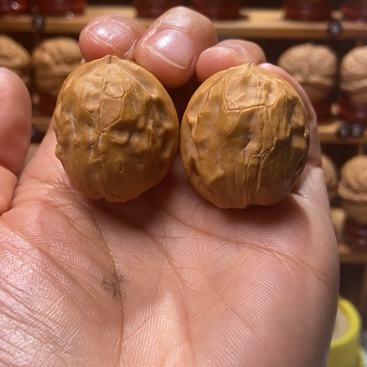 文玩核桃把件甲壳虫9