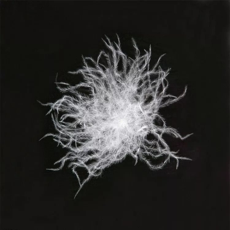 瑞琦羽绒90白鸭绒充绒