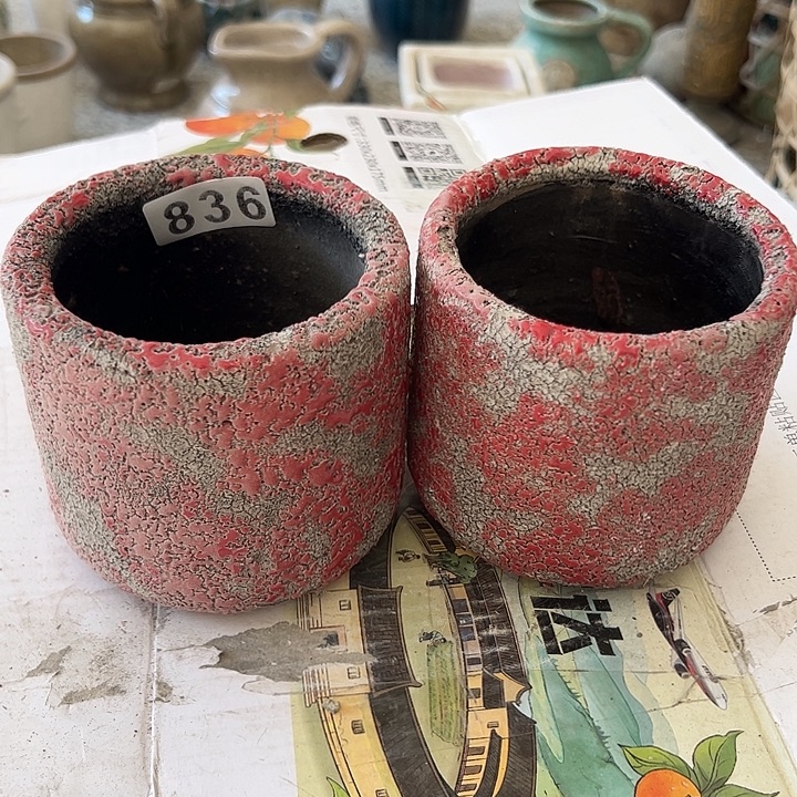 周***周836花盆两个福利孤品1111111