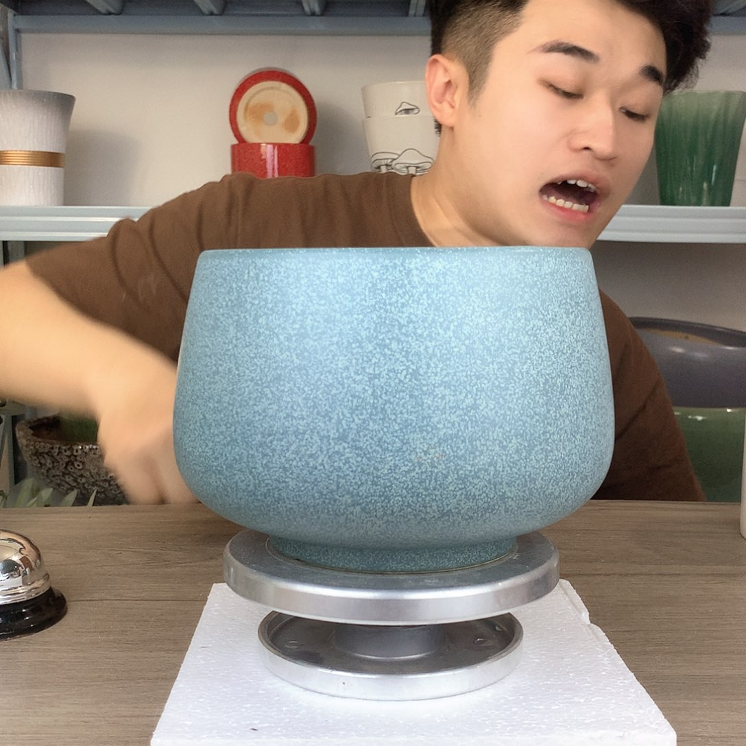 红陶精品蓝色蝴蝶兰花盆16x13一个花盆